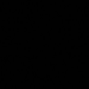 Meet your Posher, Paris